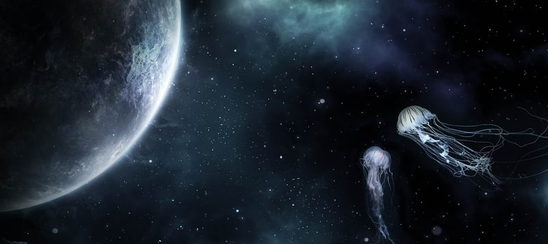 Galaxy Dream